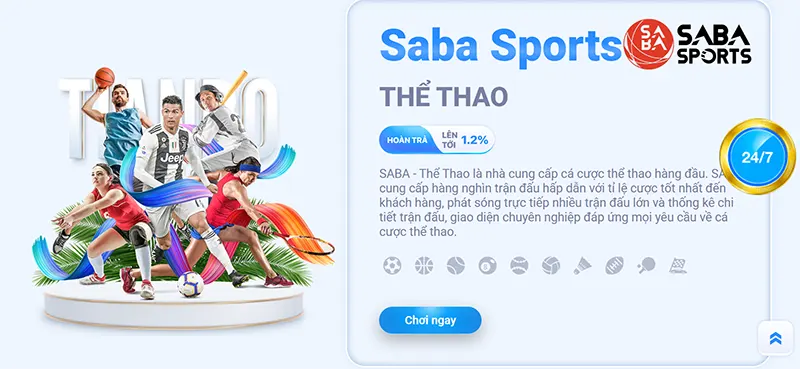 Các nhà cái trực tuyến tích hợp nhiều nhà cung cấp game cá cược thể thao nổi tiếng như SABA, ...