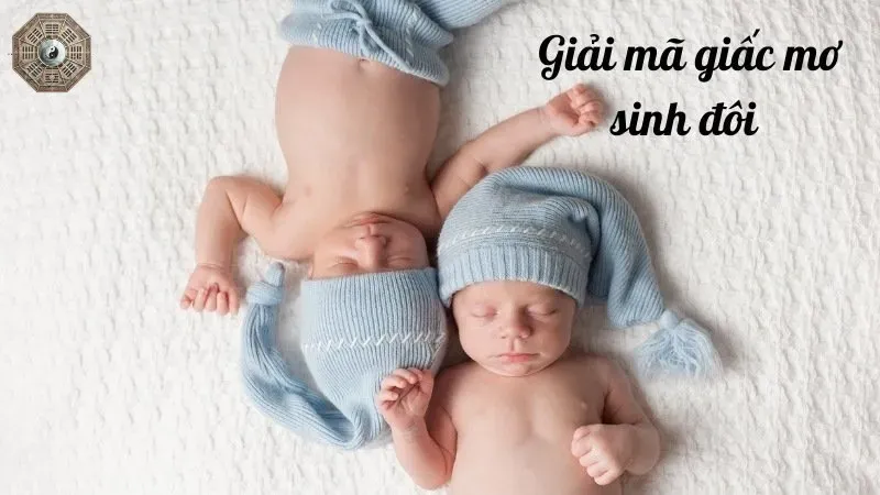 Giấc mơ thấy sinh đôi là điềm báo song hỷ sẽ đến với bạn trong tương lai gần