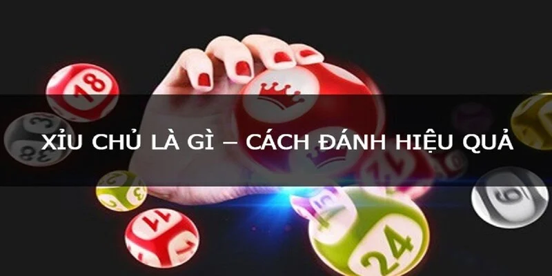 Tìm hiểu xỉu chủ là gì cùng các bí quyết chơi xỉu chủ hiệu quả nhất